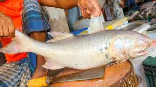 Delicious Lakka Fish Cutting & Cleaning Skills In Bangladesh Local Fish Market