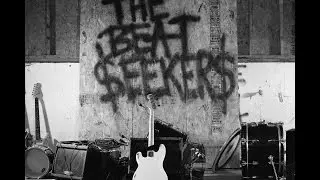 THE BEAT SEEKERS- RADIOACTIVELY
