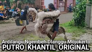 Jaranan dor putro khantil live ardilangu ngembeh dlanggu