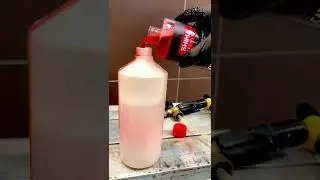 Shima Detailer 