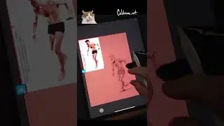 Figure Study Short #art #digitalart #illustration #figurestudy #adobefresco