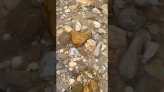Found orange 🍊 chalcedony