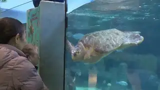 BIGGER FISH TO RESEARCH: Oklahoma Aquarium investing millions in facilities