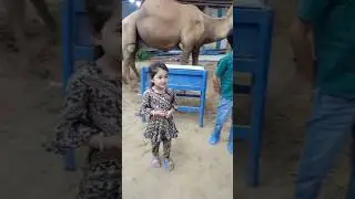 Mandi Seen #bakraeid2023 #viral #trending