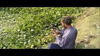 Fishing Video || নীরবে বসে কালু দাদা ঠান্ডা মাথায় টপাটপ পুটি মাছ ধরল || Viral Fishing Video 2026