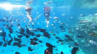 4K Snorkelling in Hurghada, Egypt, Oct 21- near Orange Bay