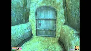 Ultimate Morrowind Guide - Return Chimarvamidium