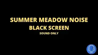 Sounds of a summer meadow in Russia. Summer meadow noise. guided meditation , Sounds of nature .