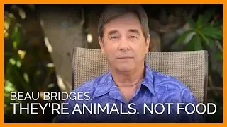 Beau Bridges on Ocean Creatures: 'They're Sea Animals, Not Seafood'