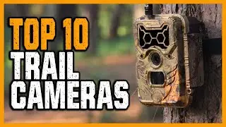 Best Trail Cameras Reviews in 2025 | Top 10 Trail Cameras For Wildlife
