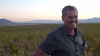 Leeuwenkuil Shiraz Tasting Notes