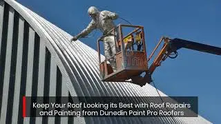 Painting Dunedin: Reigning Supreme in Roofing Services - Dunedin Paint Pro Roofers