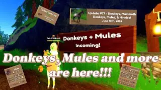 Donkeys and Mules Update in Wild Horse Islands!!! (CATQUEEN)