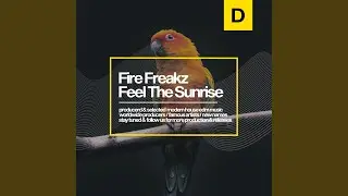 Feel the Sunrise (Original Mix)