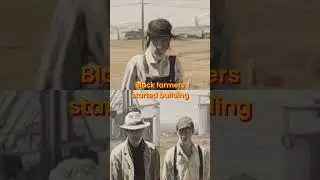 Black Farmers' Land Fight: Web3 & Crypto Solutions for Decentralized Justice
