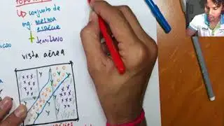 Ecologia: popula&ccedil;&atilde;o, comunidade e ecossistema (biocenose e bi&oacute;topo)
