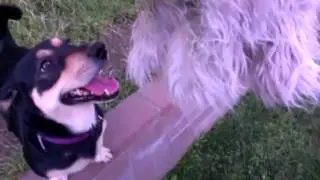 Slow Motion Video Part2/Htc Evo 4G LTE