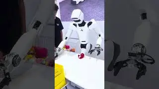 Humanoid Robot Demonstration &ndash; Object Recognition and Manipulation