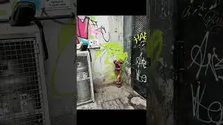 The equadour dc ghost graffiti underground #art