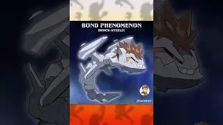 What If The BOND PHENOMENON Could Happen To Other Pok&eacute;mon?!