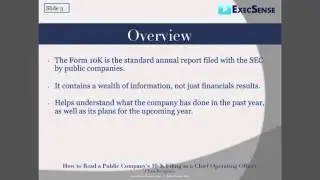 A Public Company's 10K Filing