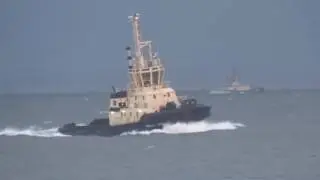 Tees Tugs..