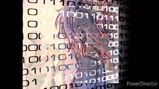 lucina x severa