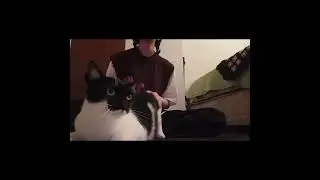 Pisi Pisikopatım (Kedi G&ouml;t&uuml; Cover)