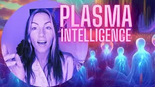 Introduction to Plasma Intelligence