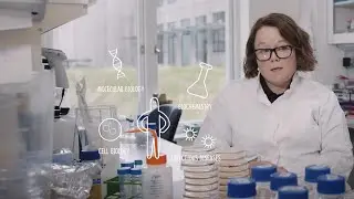 Kandidatuddannelse i Molecular Health Science