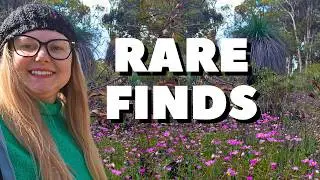 Finding Crystals and Wildflowers in the Julimar State Forest Without a 4x4