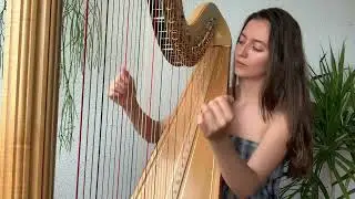 Avril 14th - Aphex Twin harp cover