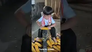 This kid turned corn duty into a business plan! 🌽💼😂 #funnyshorts #momlife