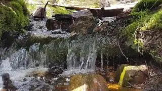 Der Oderteich im Mai 2021 - Wandern im Harz