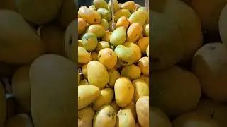 lulu Kuwait mango festival #viral #viralvideo #shortvideo #shorts  #trending