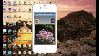 How to Embed a QR Code in an Image Using Your iPhone