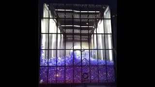 NEOSMART FILM |  VISUAL EVASION   3D Projection on Glass
