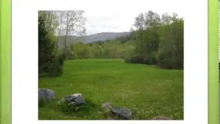 Spring Internship video final version