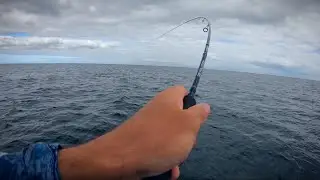 Ultra Light Gear VS BIG FISH!