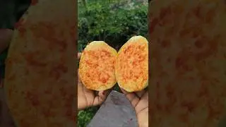 Traditional Fresh Guava Masala 🌶️ 🤤 | Guava Pickle #shorts