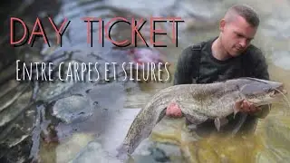 Day Ticket/Entre carpes et silures/Carpfishing2020