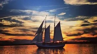 Sailor