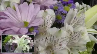 Panasonic Camcorder - Wireless Twin Camera Feature