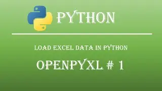 Loading Excel Data in Python: Step-by-Step Guide  Openpyxl tutorial # 1