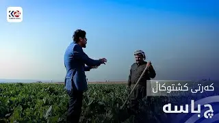 چ باسە | کەرتی کشتوکاڵ