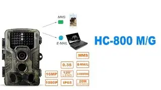 Lixada HC-800 M/G 16MP 1080P 2G MMS SMS Trail Camera