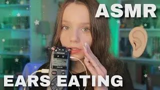 ASMR Intense Ears Eating 🥢 Tascam Mouth Sounds & Kisses 