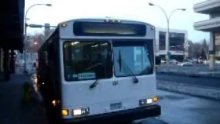 Buses aplenty in White Plains