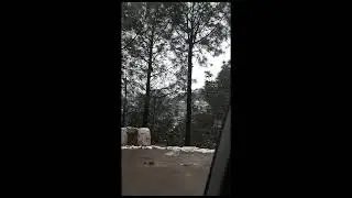 kasauli vlog snow fall // vlog //