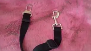 Dog Safety Seat Belt